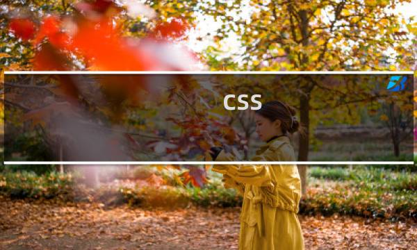 css 定位属性