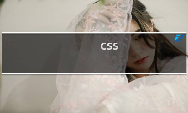 css 属性选择器