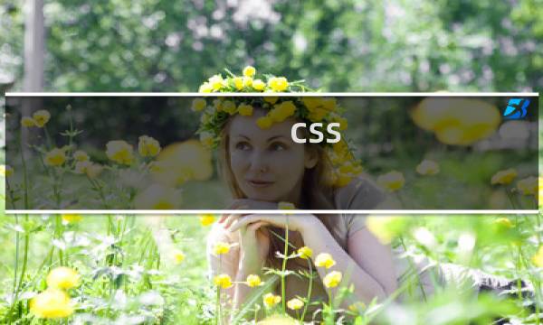 css 怎么写页面框架