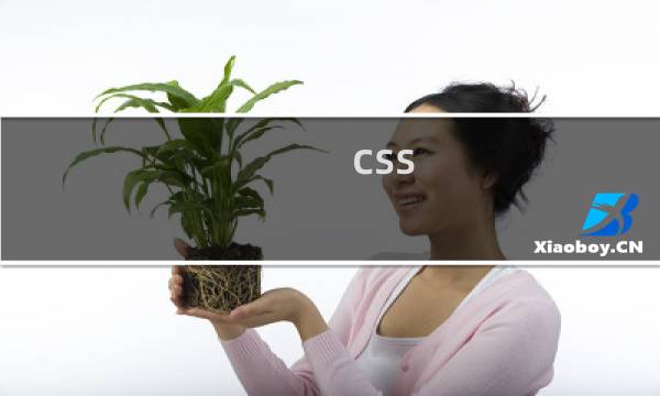 css 怎么用