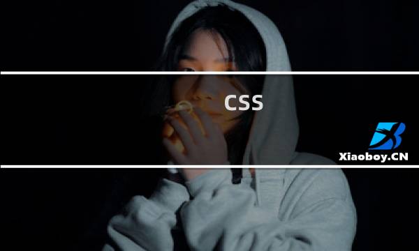 css 指南