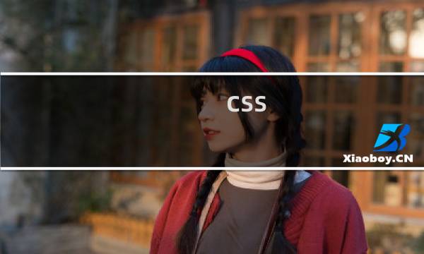 css 是啥