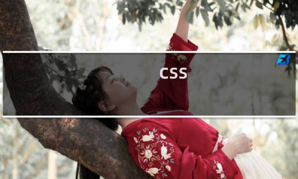 css 最后一行样式