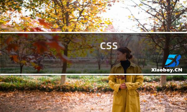css 最常用属性