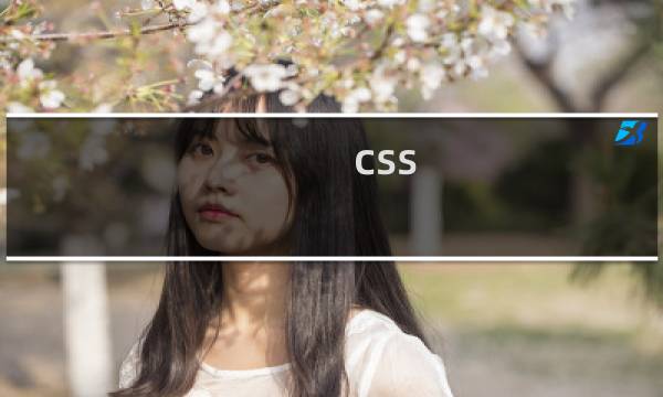css 标准