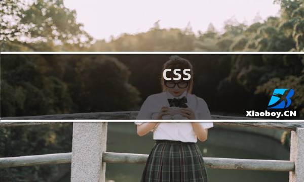 css 登陆界面