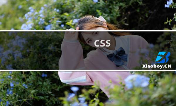 css 第一列