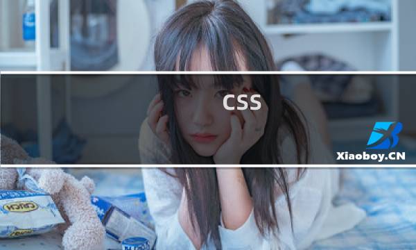 css 表格属性