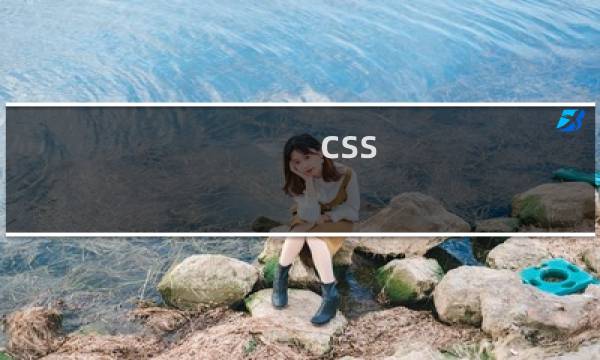 css 设置表格的大小设置