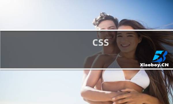 css 选中效果