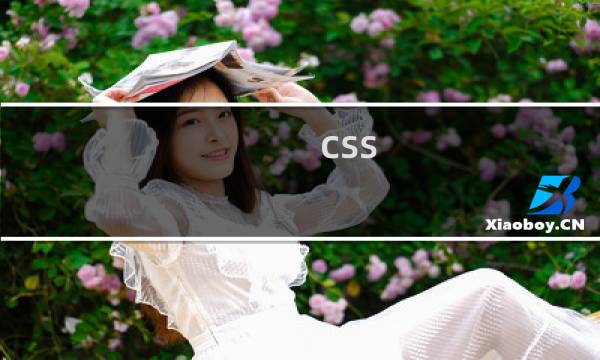 css 鼠标效果
