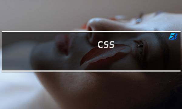 css button属性