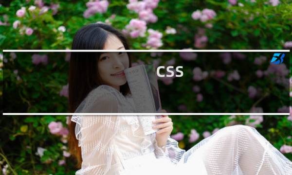 css div字体大小