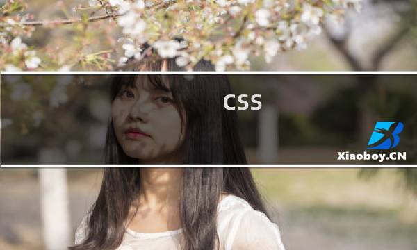 css html介绍