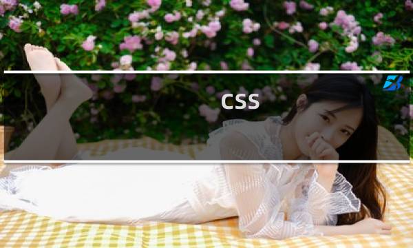 css not 选择器怎么用