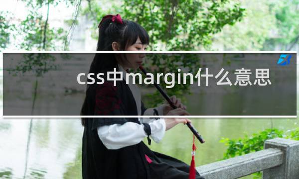 css中margin什么意思