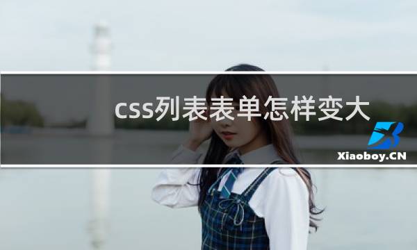 css列表表单怎样变大
