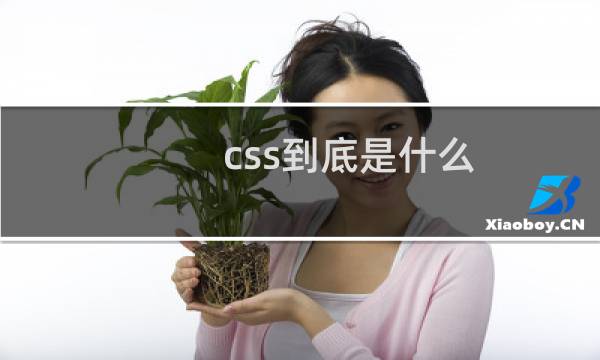 css到底是什么