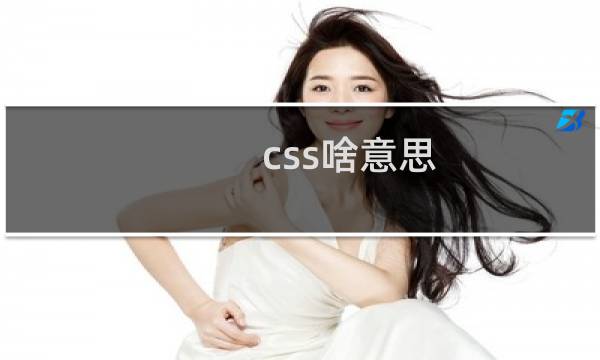 css啥意思