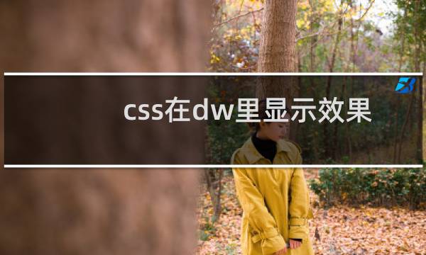 css在dw里显示效果