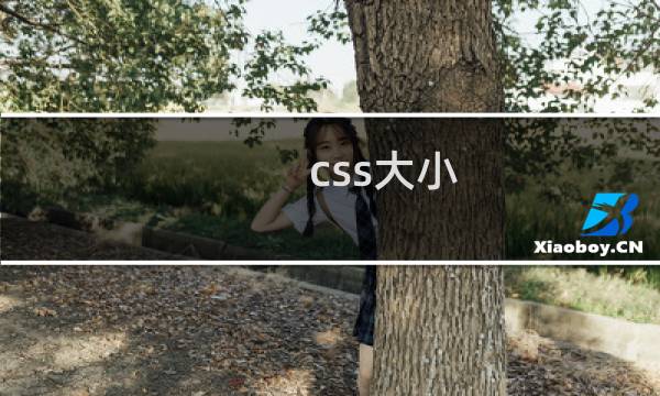 css大小