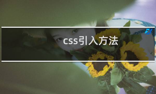 css引入方法