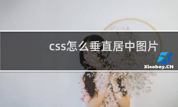 css怎么垂直居中图片