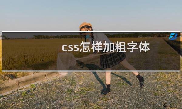 css怎样加粗字体