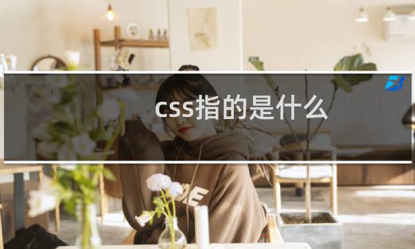 css指的是什么