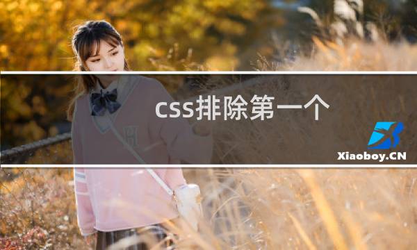 css排除第一个