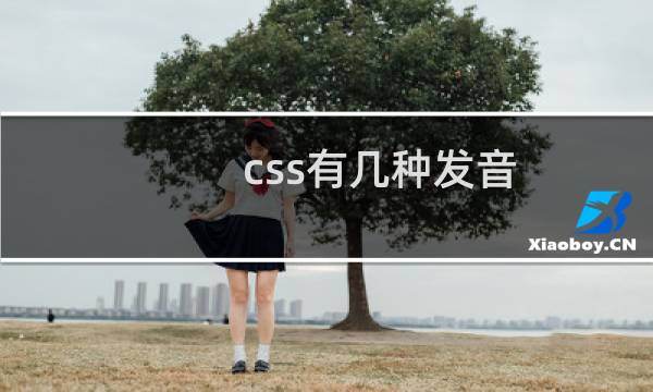 css有几种发音