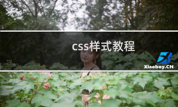 css样式教程