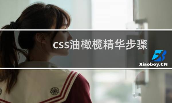 css油橄榄精华步骤
