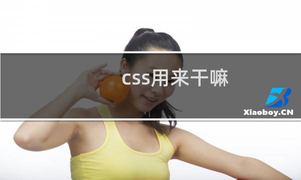 css用来干嘛