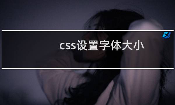 css设置字体大小