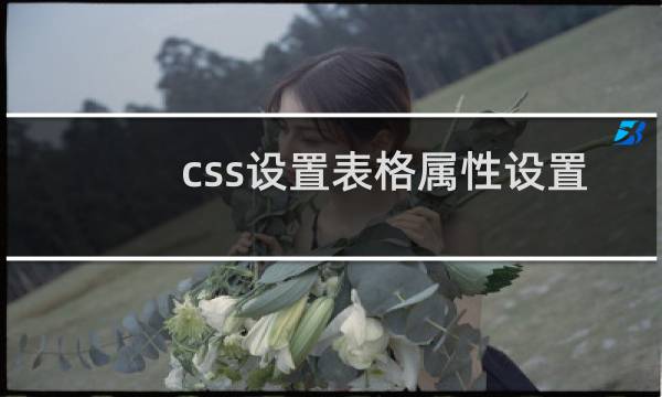 css设置表格属性设置