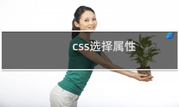css选择属性