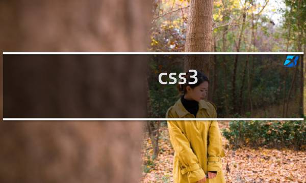 css3 标准