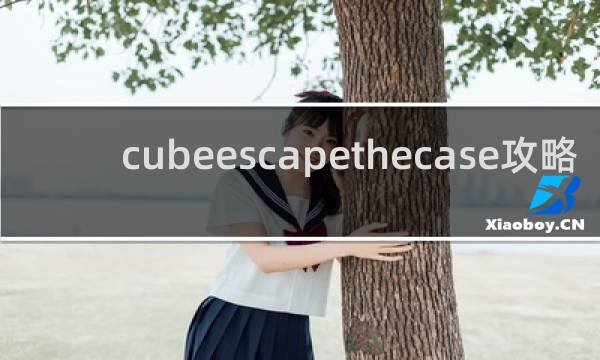 cubeescapethecase攻略