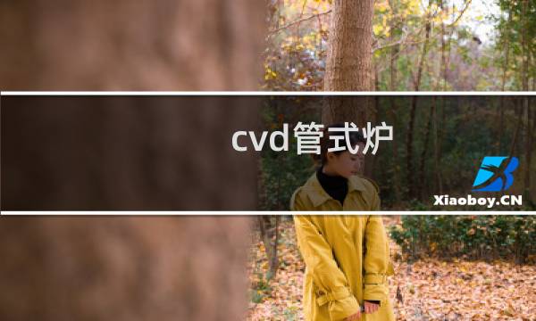 cvd管式炉图片