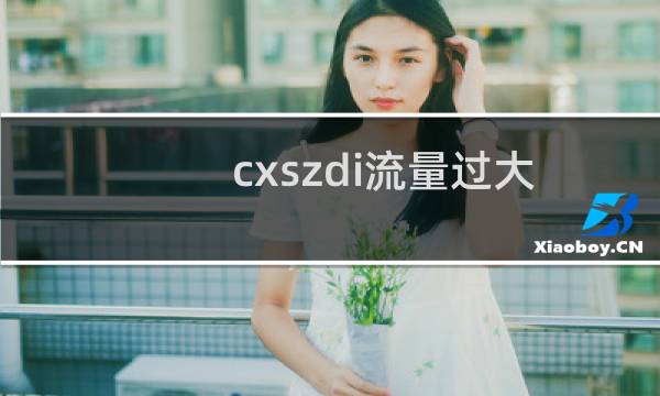 cxszdi流量过大的原因