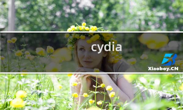cydia 攻略