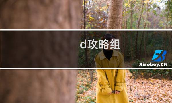 d攻略组