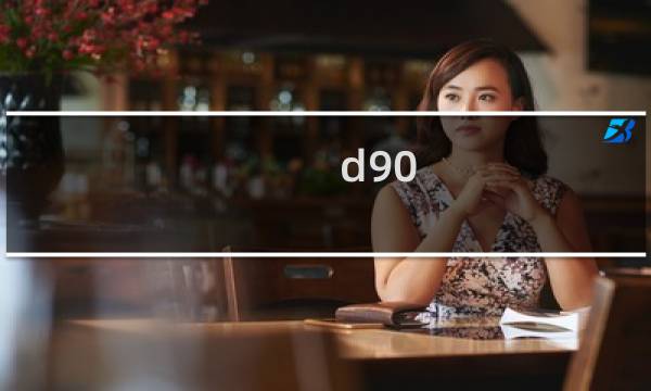 d90 摄影完全攻略