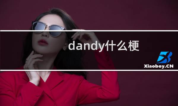 dandy什么梗