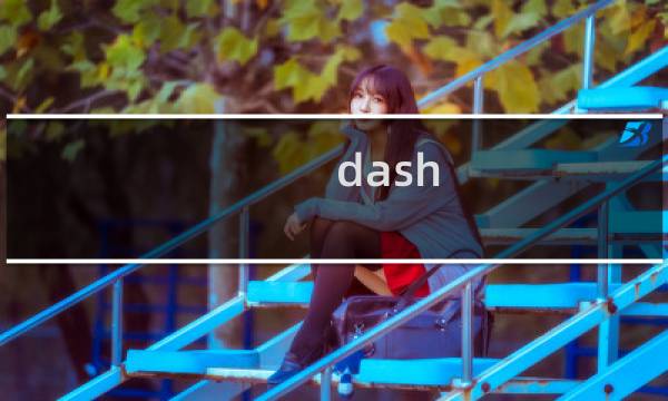 dash 攻略图