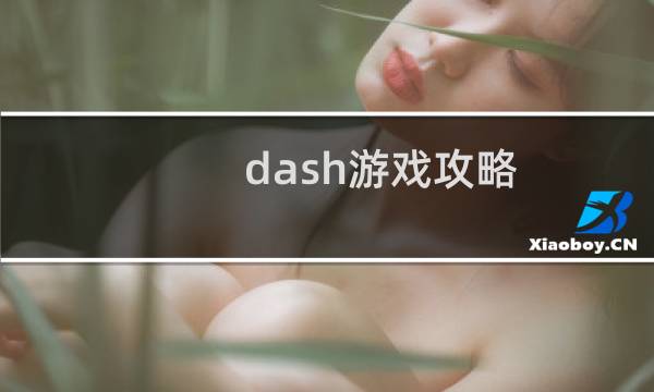 dash游戏攻略