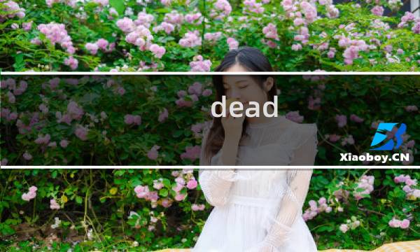 dead end是什么梗什么梗