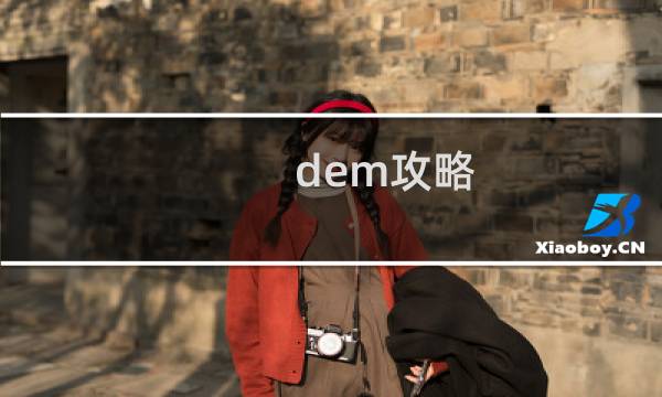 dem攻略