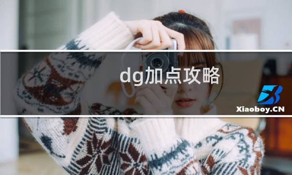 dg加点攻略